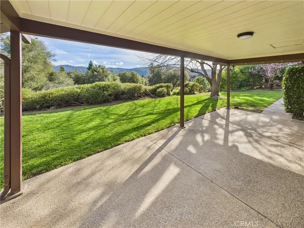 a view of a garden with an outdoor space