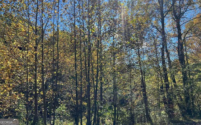 $120,000 | 4-ac Tusquittee Road, Hayesville, NC 28904