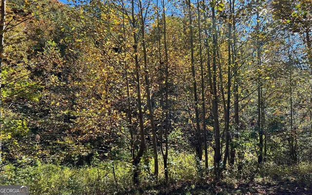 $120,000 | 4-ac Tusquittee Road, Hayesville, NC 28904