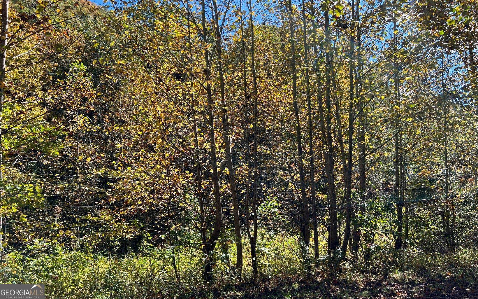 4-ac Tusquittee Road Hayesville, NC 28904 - Photo 2 of 6