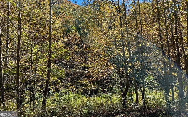 $120,000 | 4-ac Tusquittee Road, Hayesville, NC 28904