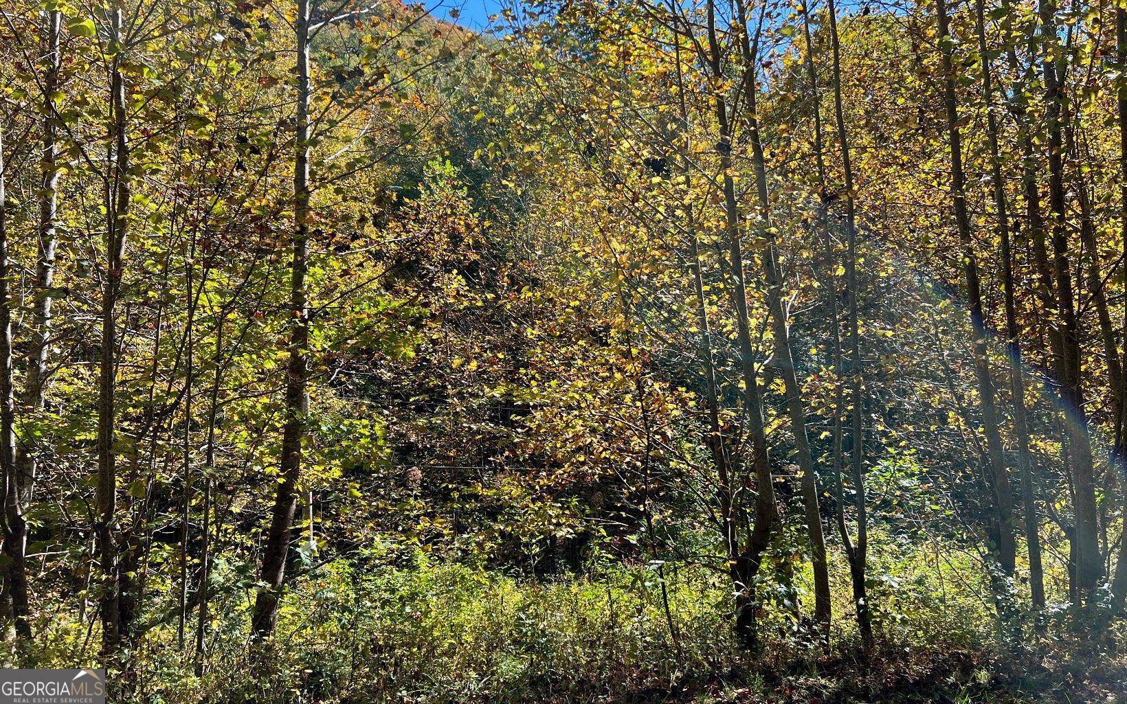 4-ac Tusquittee Road Hayesville, NC 28904 - Photo 3 of 6