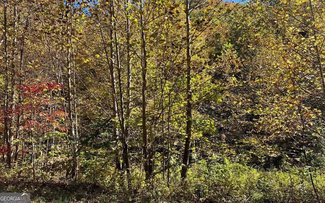 $120,000 | 4-ac Tusquittee Road, Hayesville, NC 28904