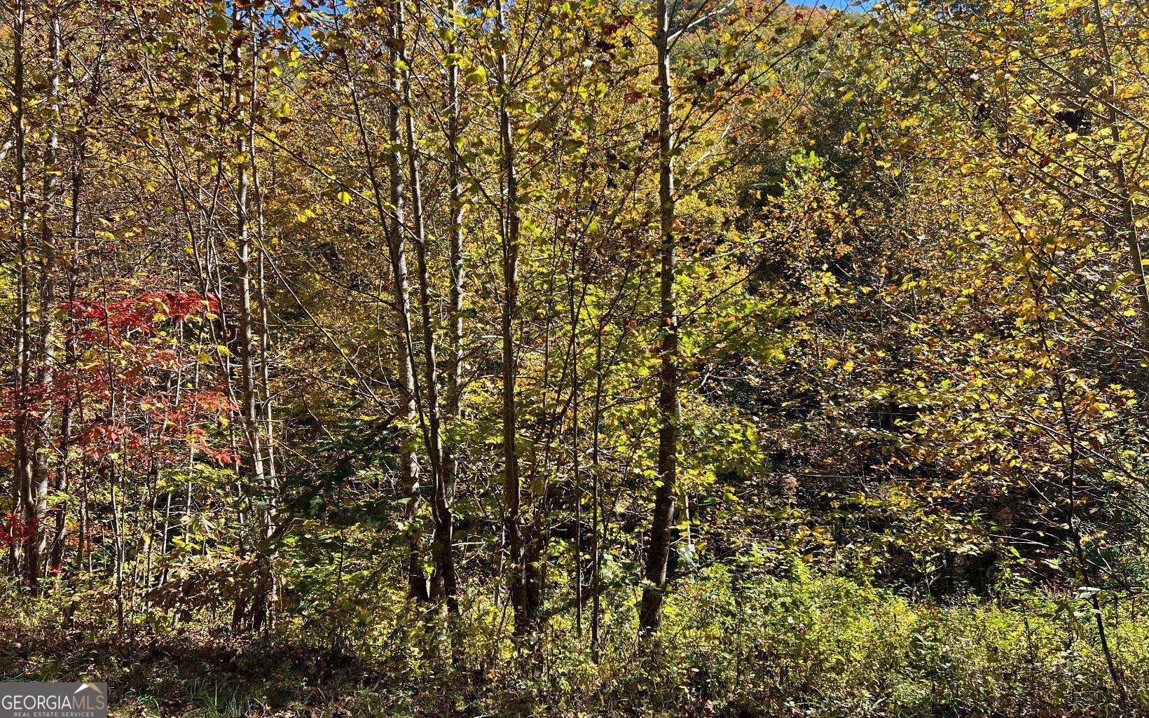 4-ac Tusquittee Road Hayesville, NC 28904 - Photo 4 of 6