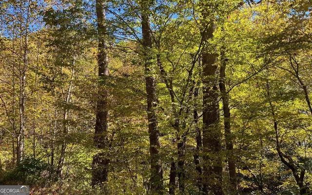 $120,000 | 4-ac Tusquittee Road, Hayesville, NC 28904