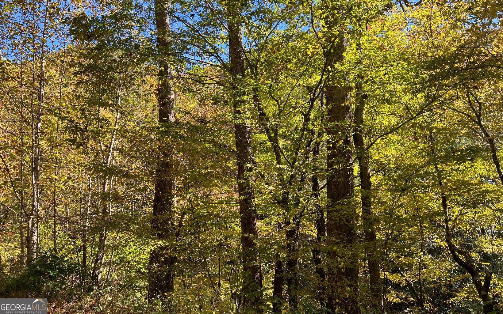 4-ac Tusquittee Road Hayesville, NC 28904 - Photo 5 of 6