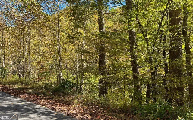 $120,000 | 4-ac Tusquittee Road, Hayesville, NC 28904