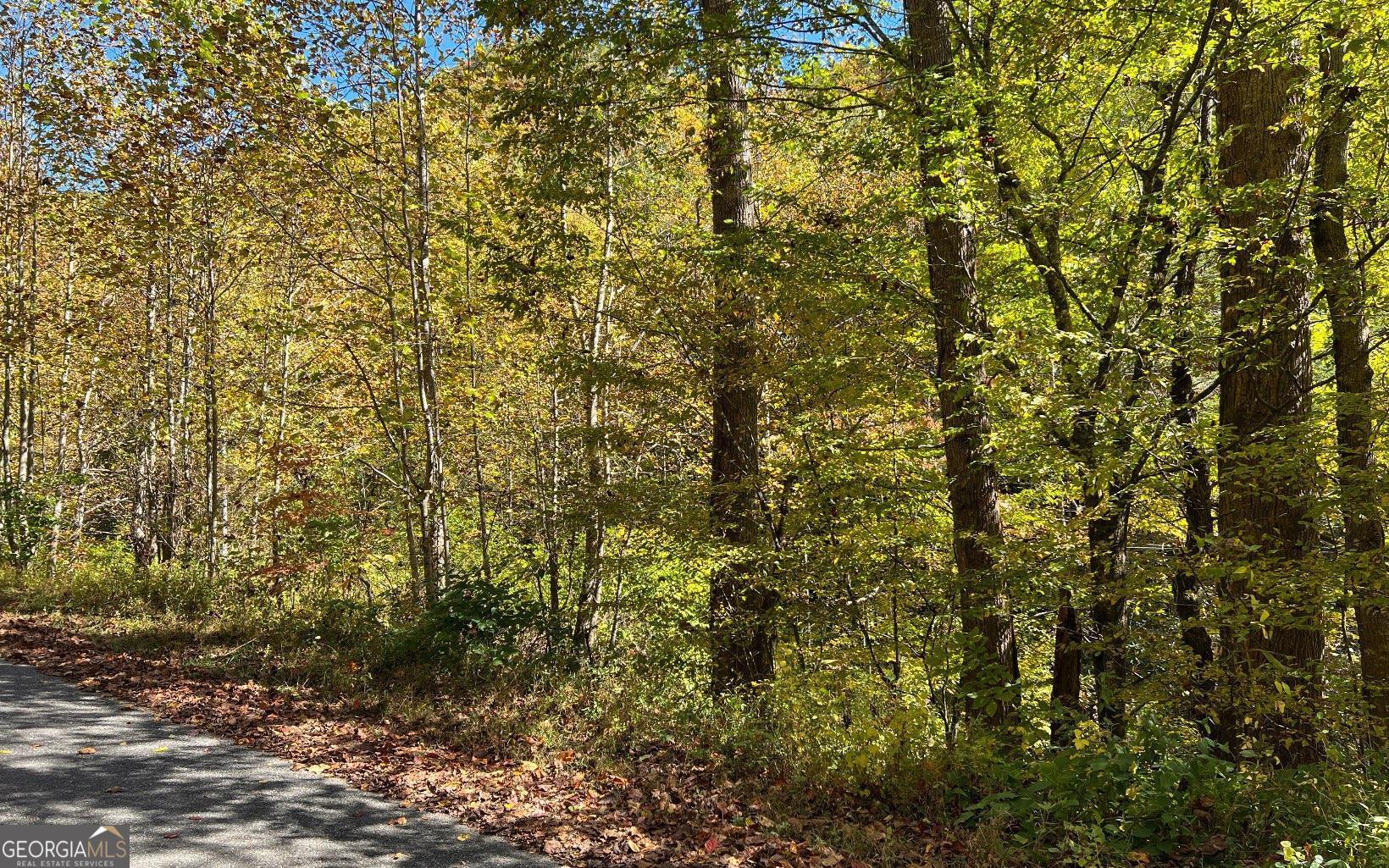 4-ac Tusquittee Road Hayesville, NC 28904 - Photo 6 of 6