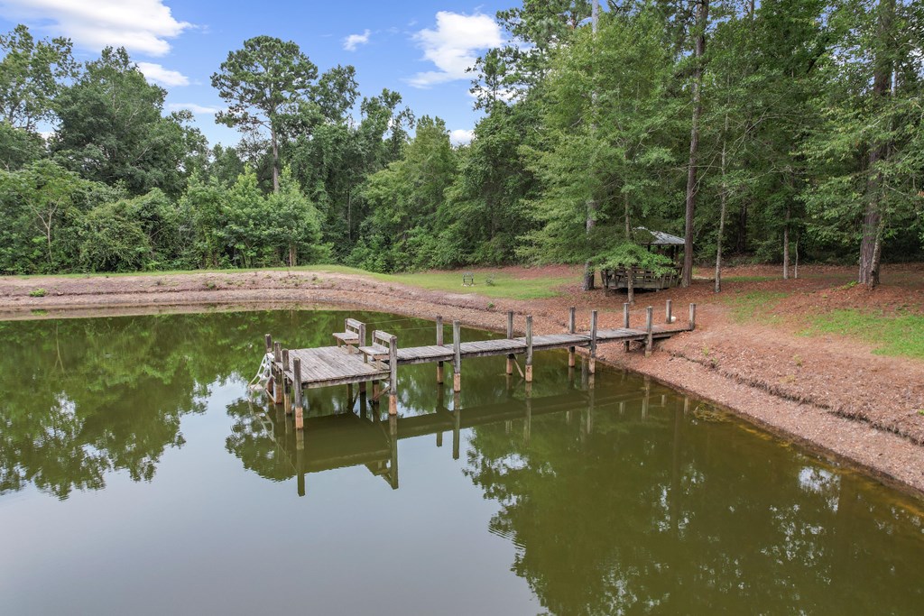 6850 North Co Road Columbia, AL 36319 - Photo 71 of 81