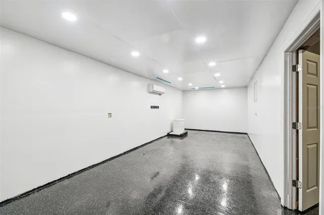 a view of a yard with plants and large trees