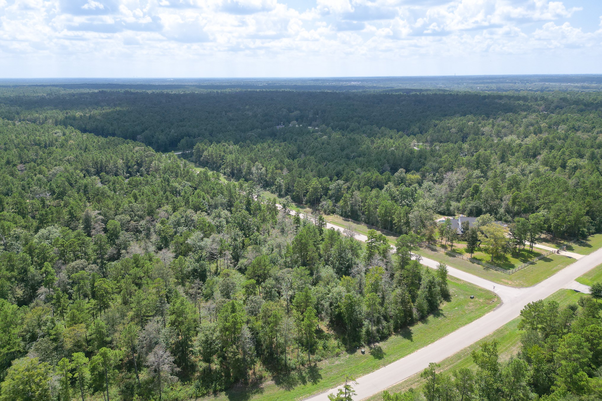 10692 Ruger Road Willis, TX 77378 - Photo 9 of 23 Gallery Image 9