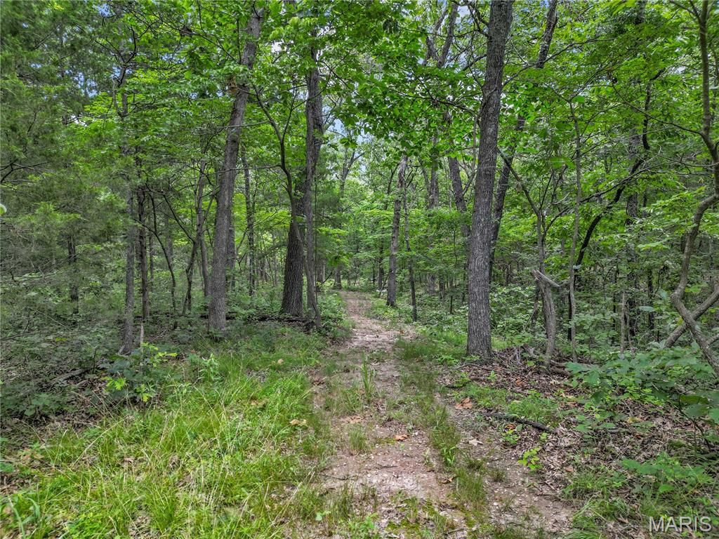 1824 Morre Road Owensville, MO 65066 - Photo 67 of 70