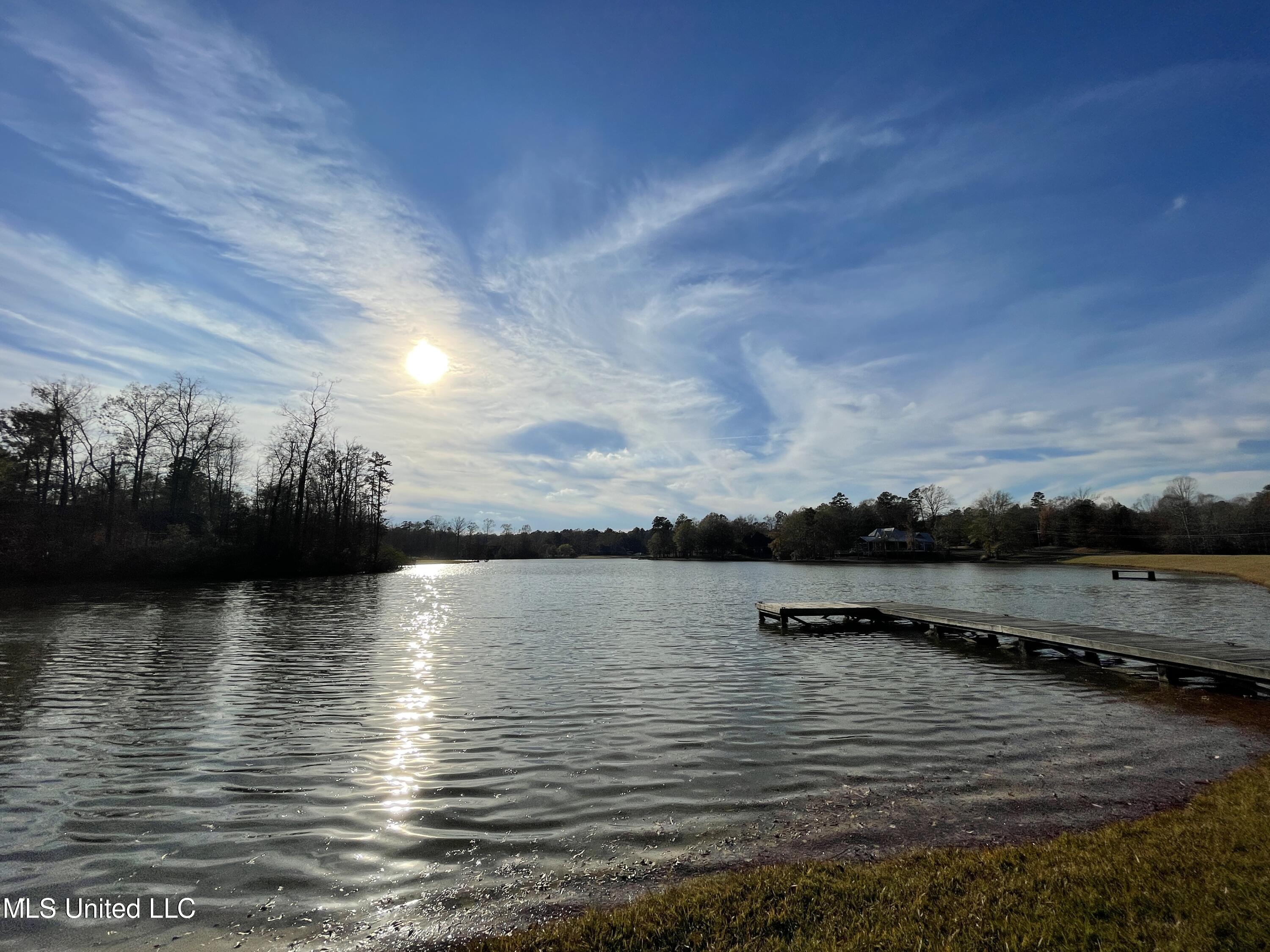 960 Ridgeside Drive Brandon, MS 39042 - Photo 13 of 50 Photo Dec 03, 2 56 20 PM