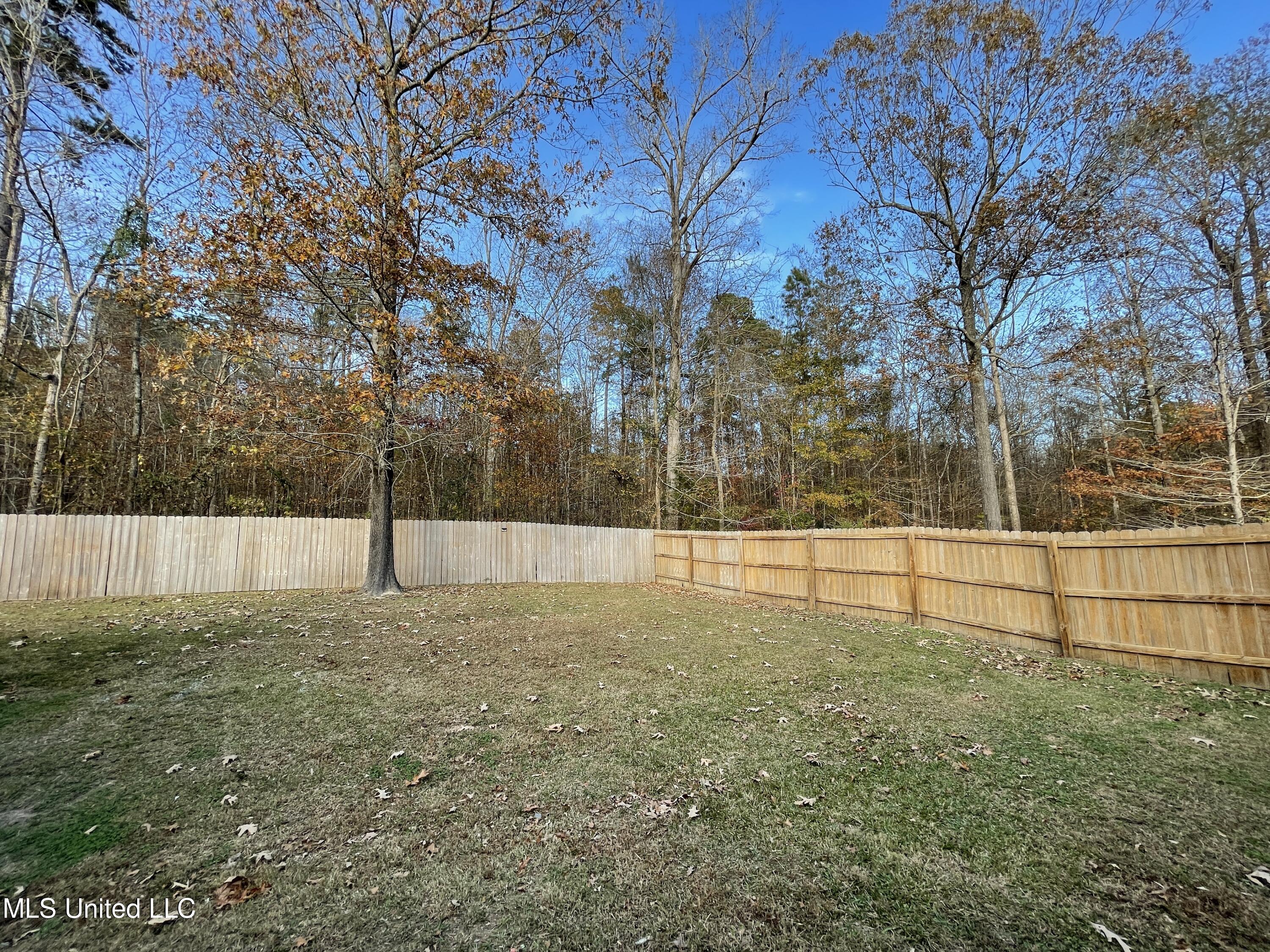 960 Ridgeside Drive Brandon, MS 39042 - Photo 49 of 50 Photo Dec 03, 3 11 06 PM