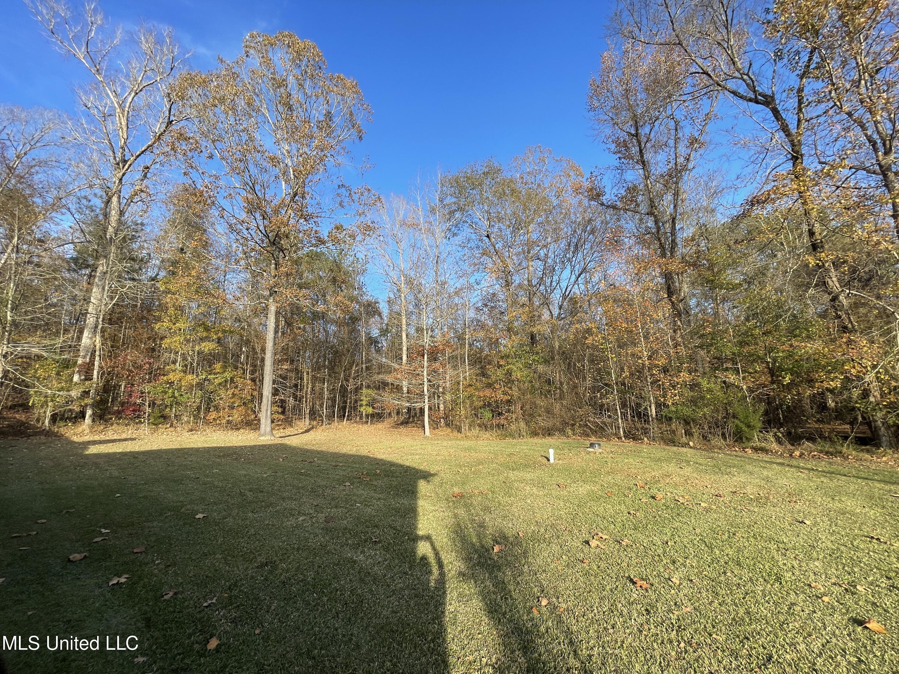 960 Ridgeside Drive Brandon, MS 39042 - Photo 8 of 50 Photo Dec 03, 3 06 34 PM