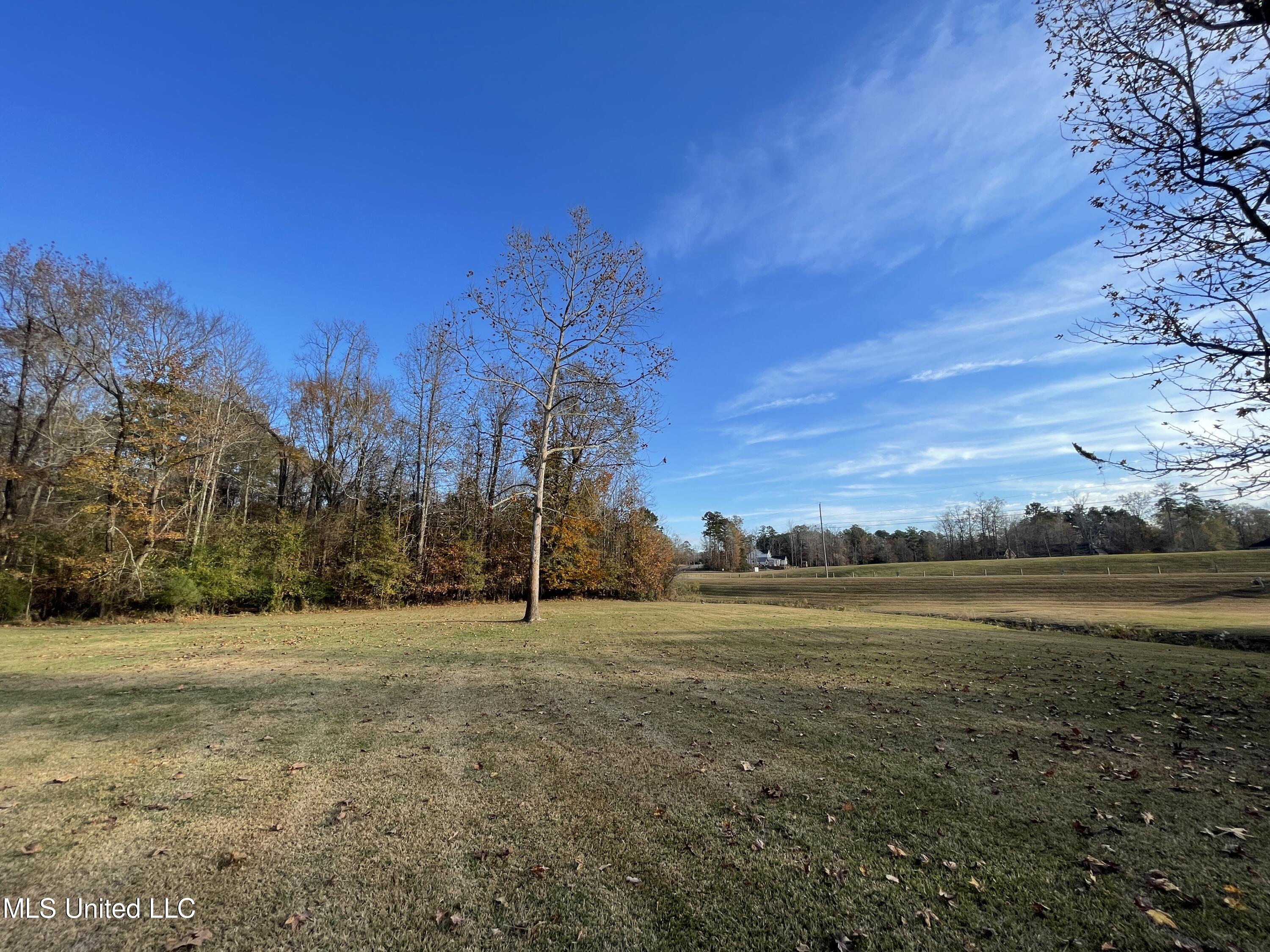 960 Ridgeside Drive Brandon, MS 39042 - Photo 9 of 50 Photo Dec 03, 3 08 30 PM