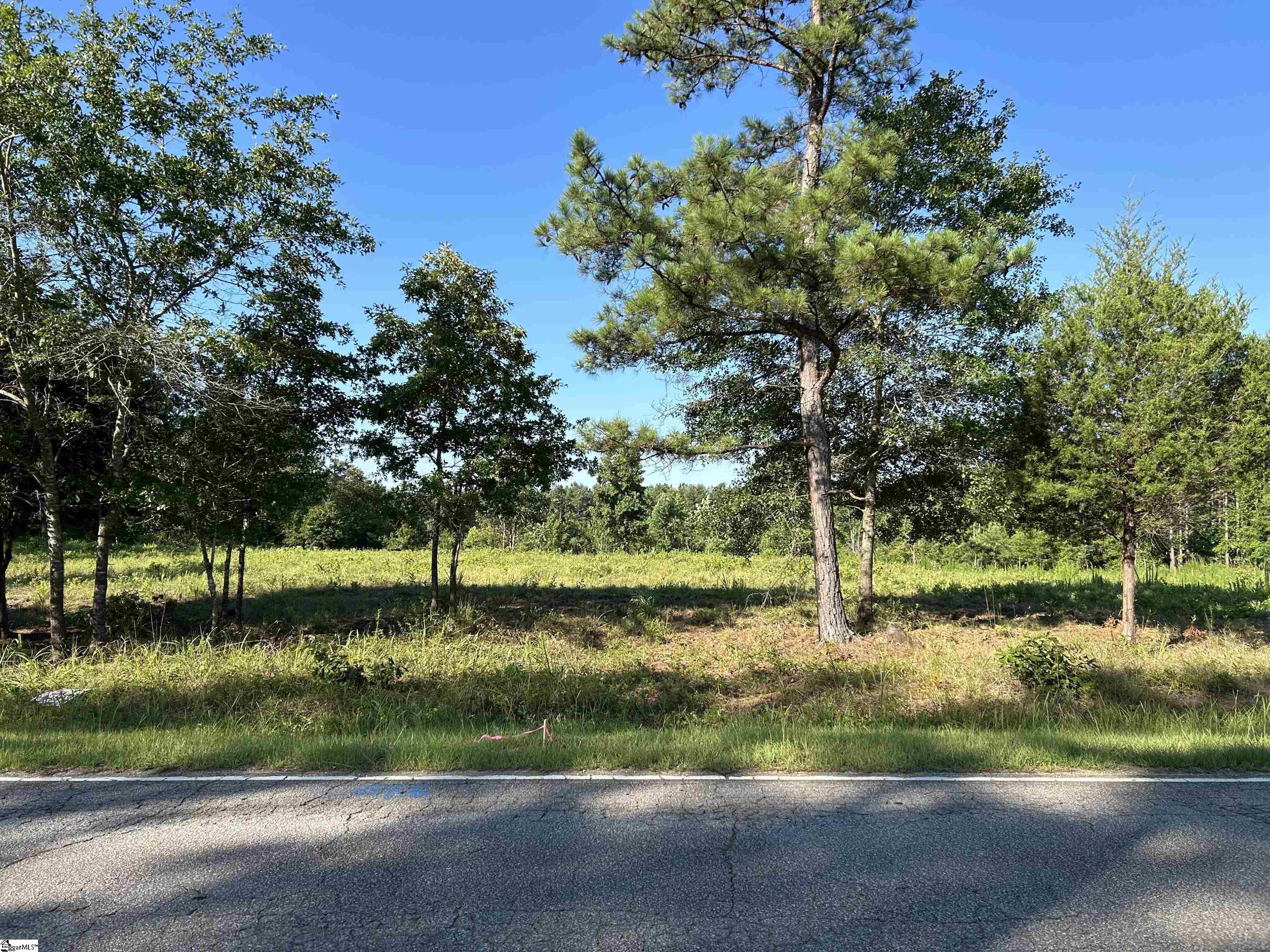 876 Dunklin Bridge Road Fountain Inn, SC 29644 - Photo 7 of 7