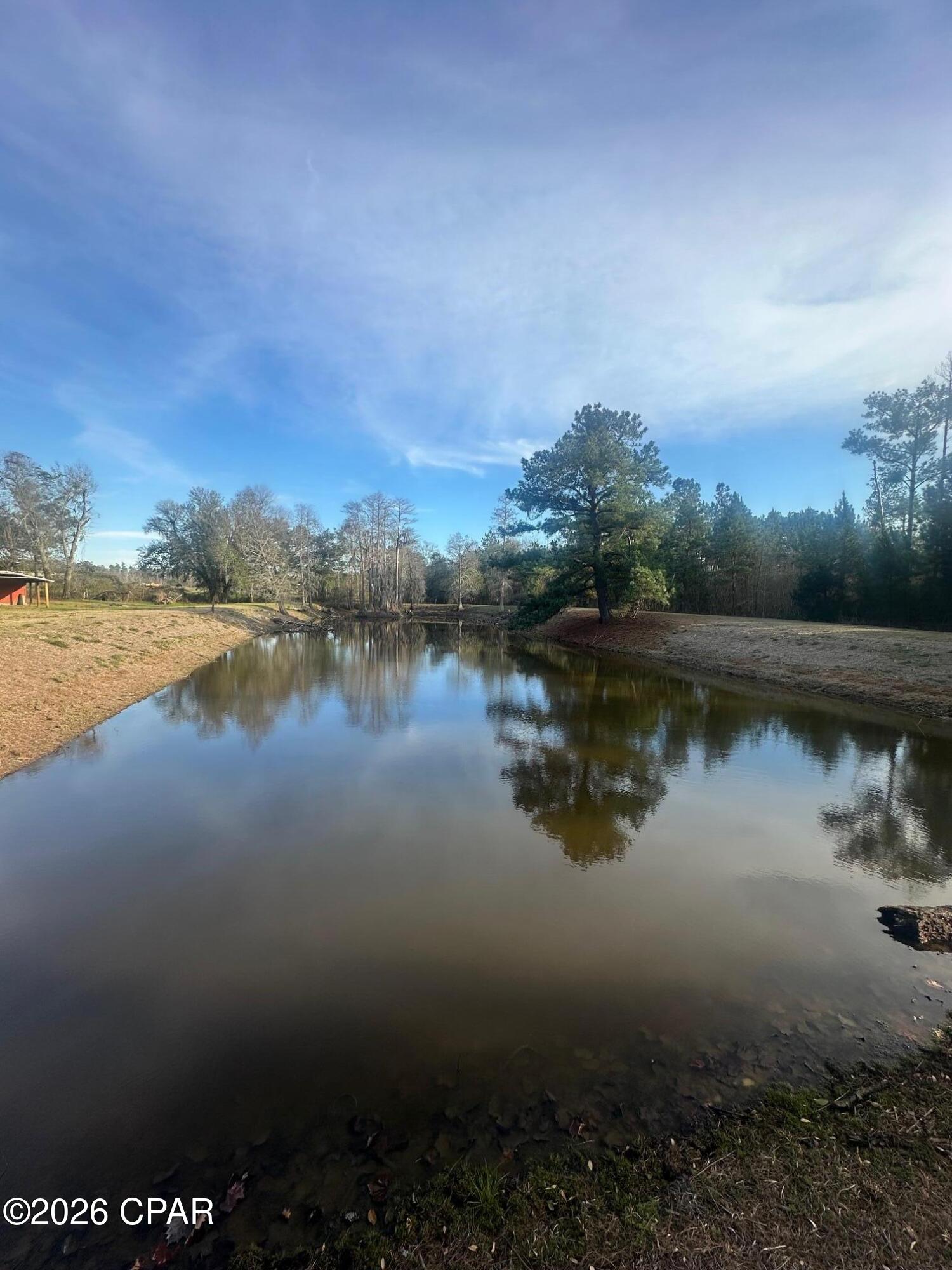 7293 Highway 90 Grand Ridge, FL 32442 - Photo 28 of 43