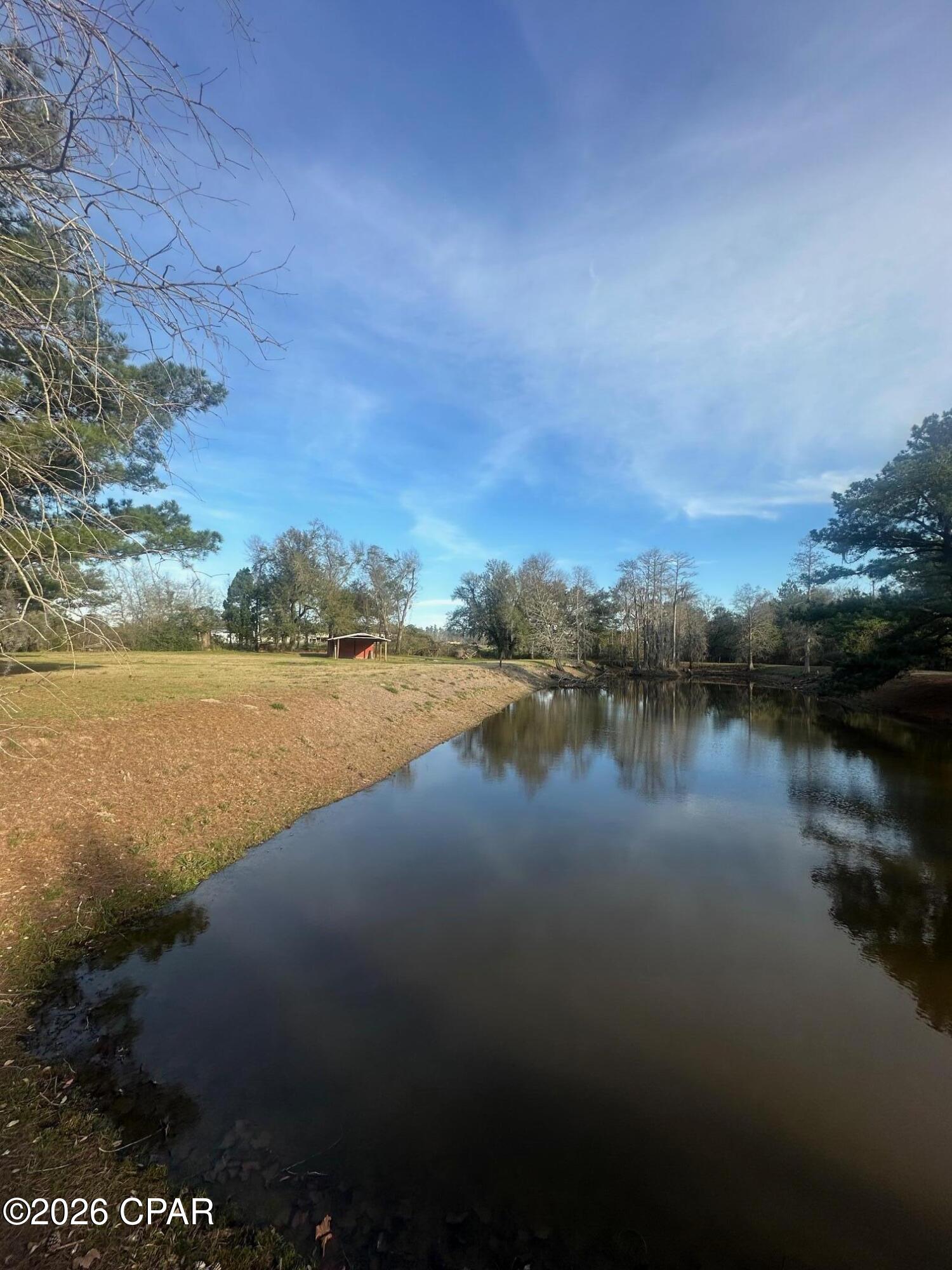 7293 Highway 90 Grand Ridge, FL 32442 - Photo 3 of 43