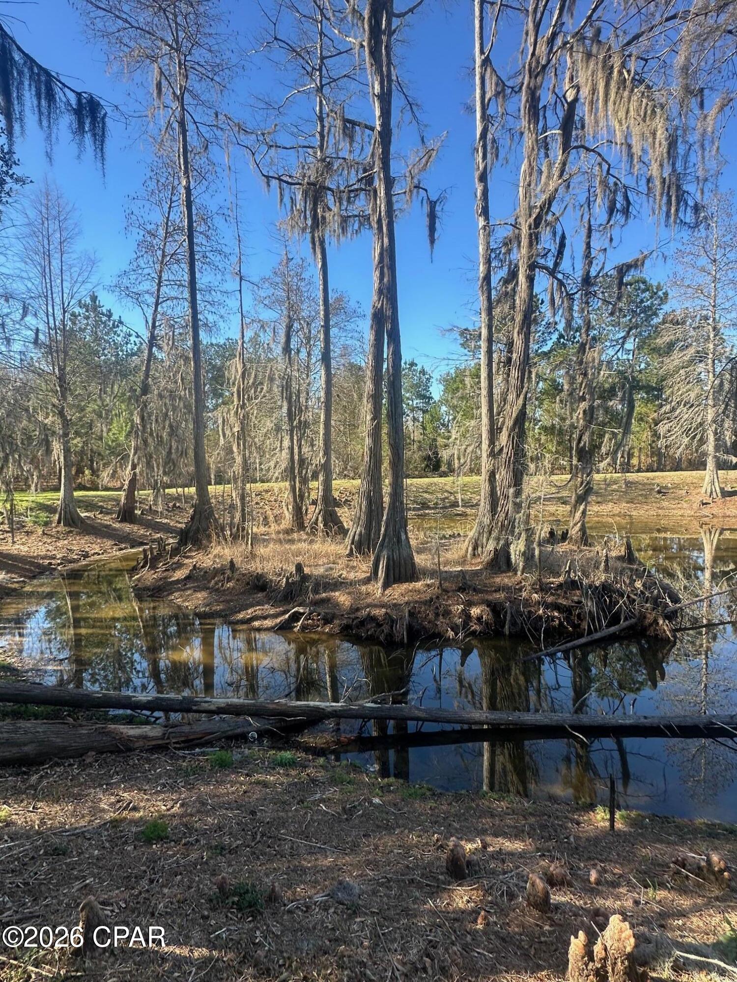 7293 Highway 90 Grand Ridge, FL 32442 - Photo 32 of 43