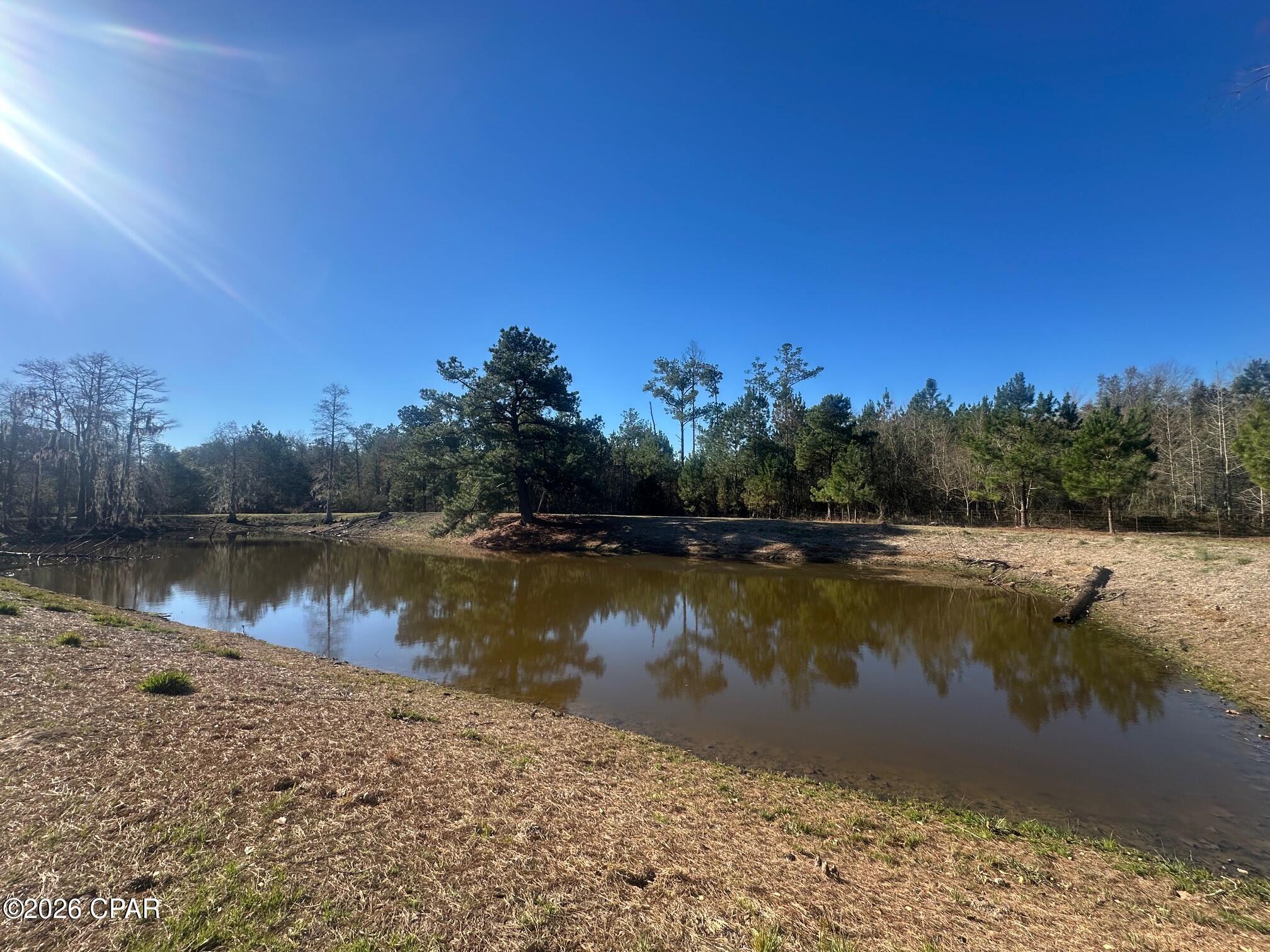 7293 Highway 90 Grand Ridge, FL 32442 - Photo 34 of 43