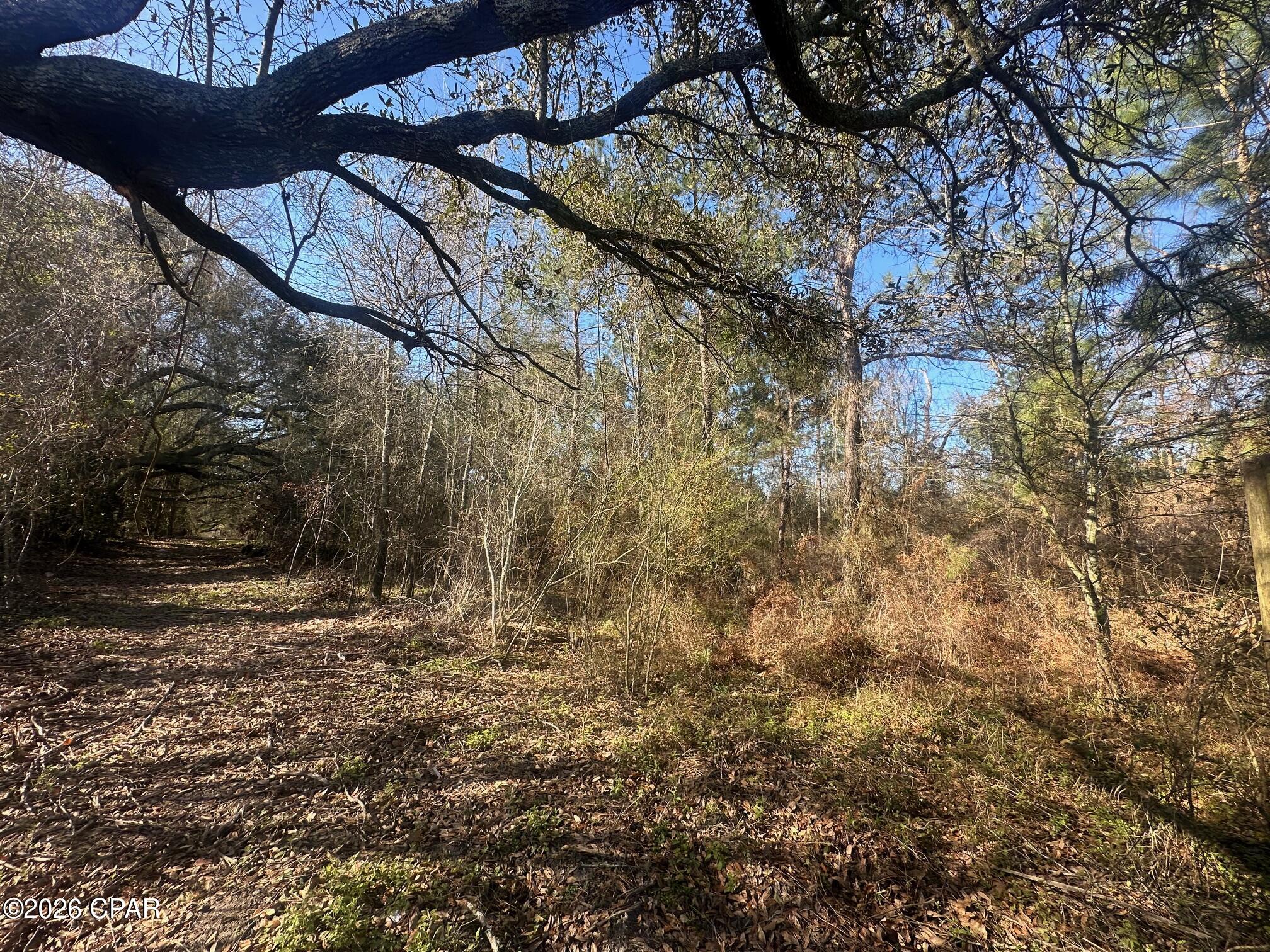 7293 Highway 90 Grand Ridge, FL 32442 - Photo 35 of 43