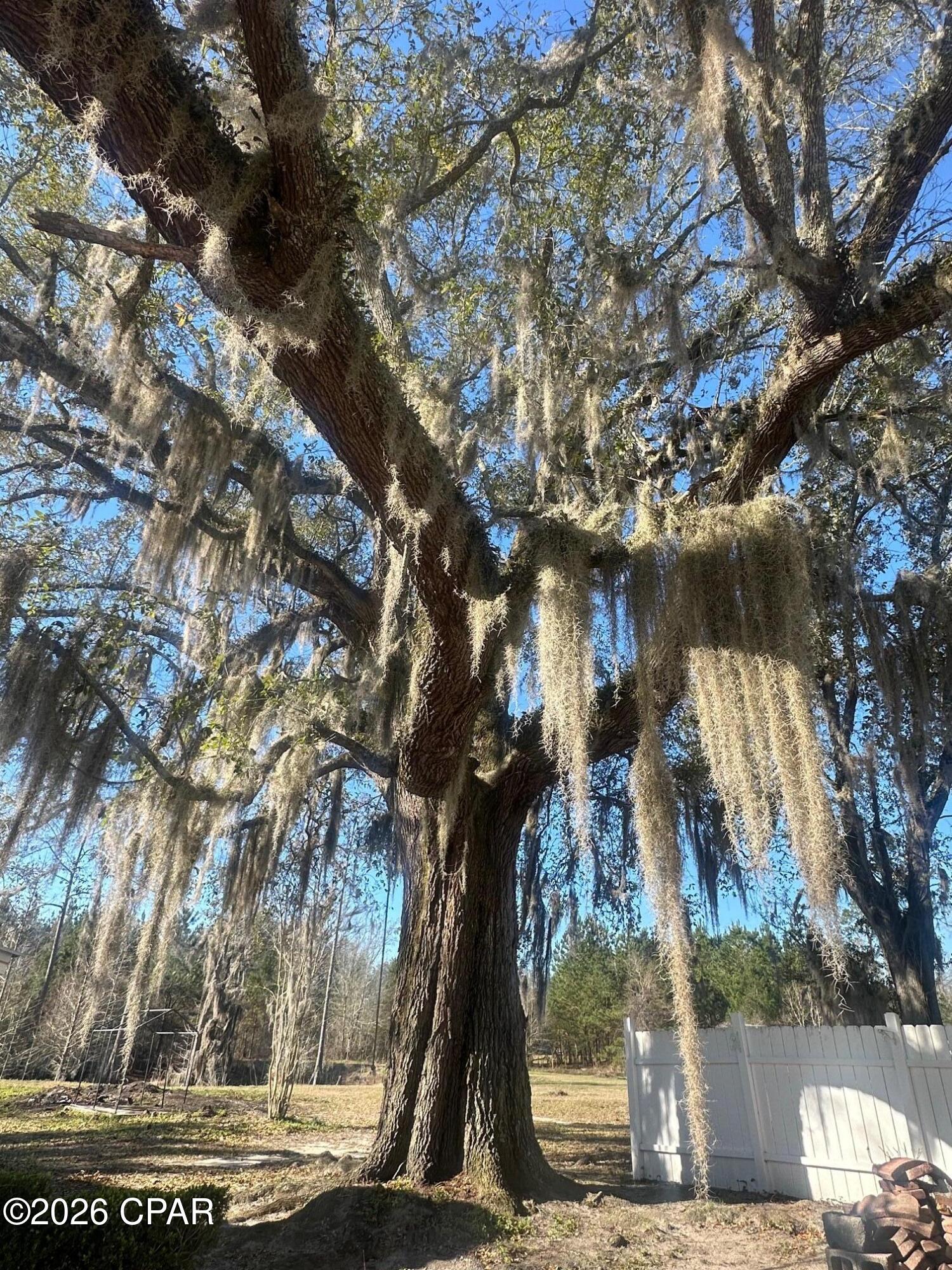 7293 Highway 90 Grand Ridge, FL 32442 - Photo 39 of 43