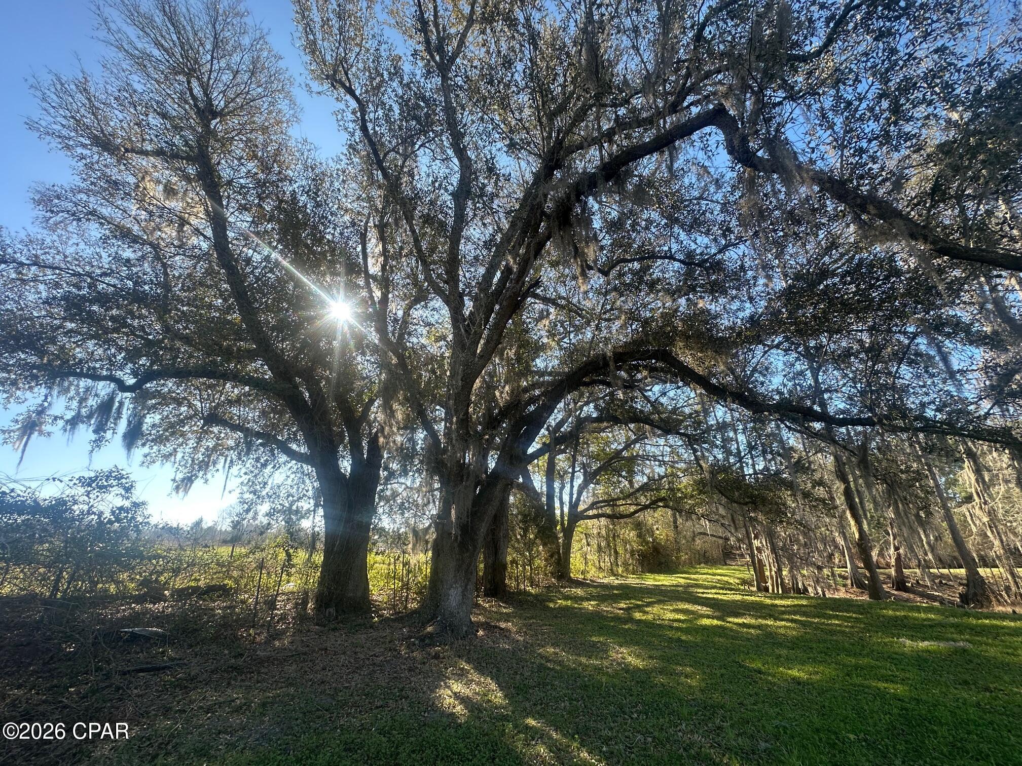 7293 Highway 90 Grand Ridge, FL 32442 - Photo 4 of 43