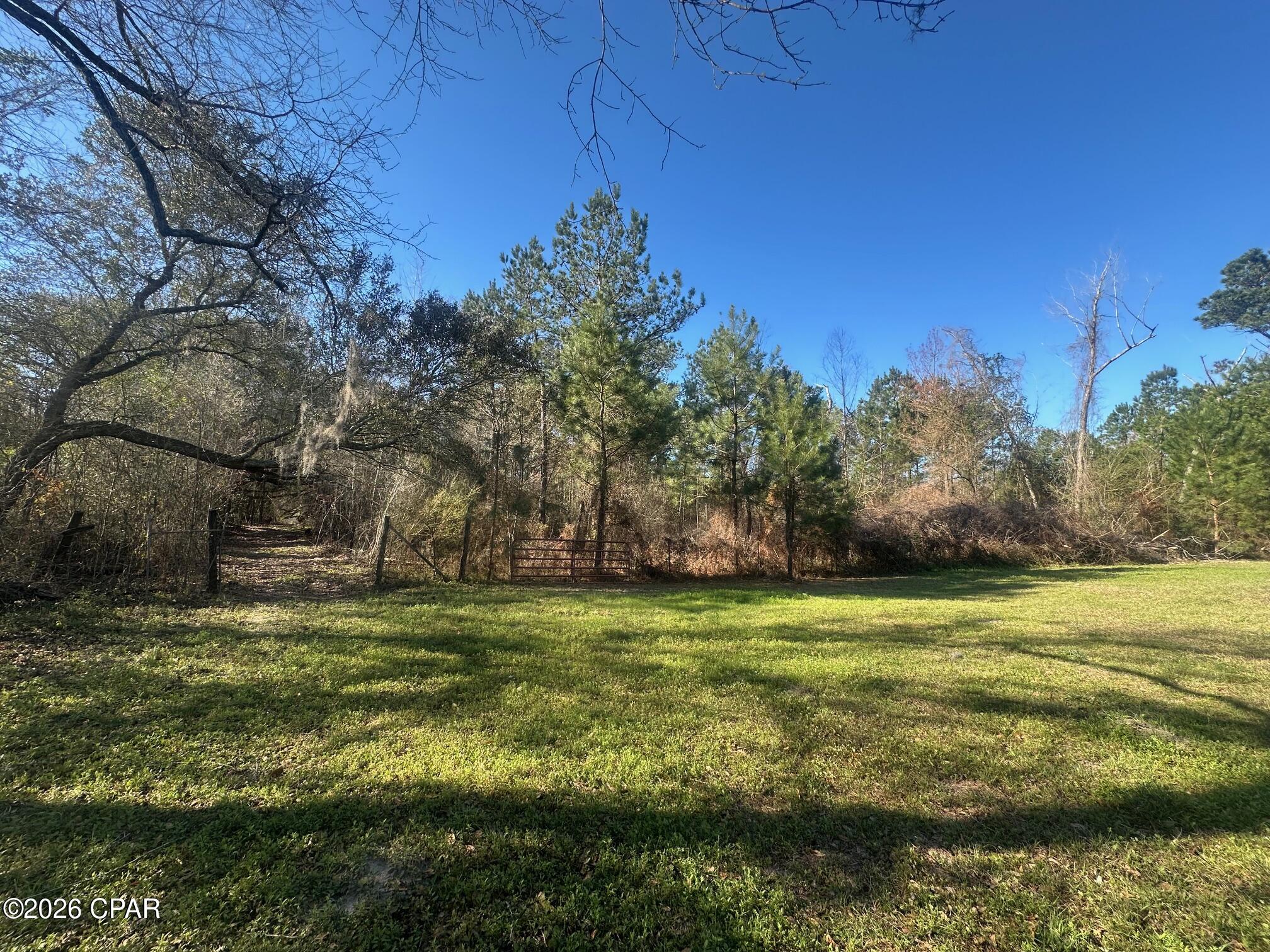 7293 Highway 90 Grand Ridge, FL 32442 - Photo 6 of 43