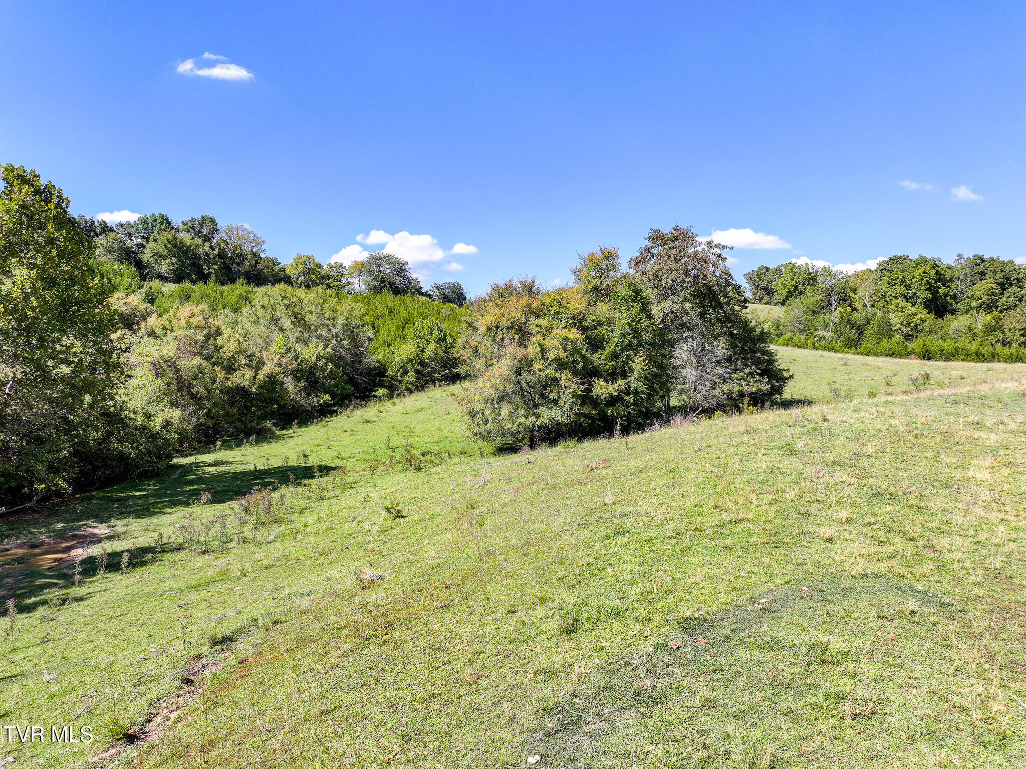 Lot 1 Union Road, Unit 1 Greeneville, TN 37745 - Photo 14 of 34 15