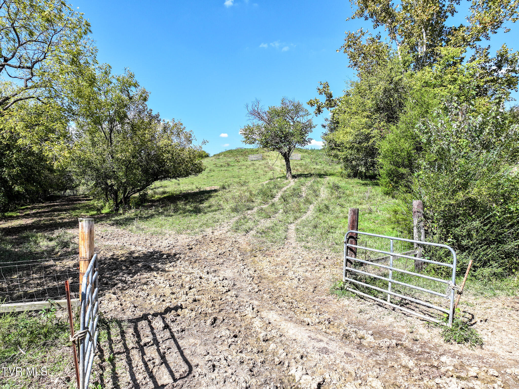Lot 1 Union Road, Unit 1 Greeneville, TN 37745 - Photo 7 of 34 7