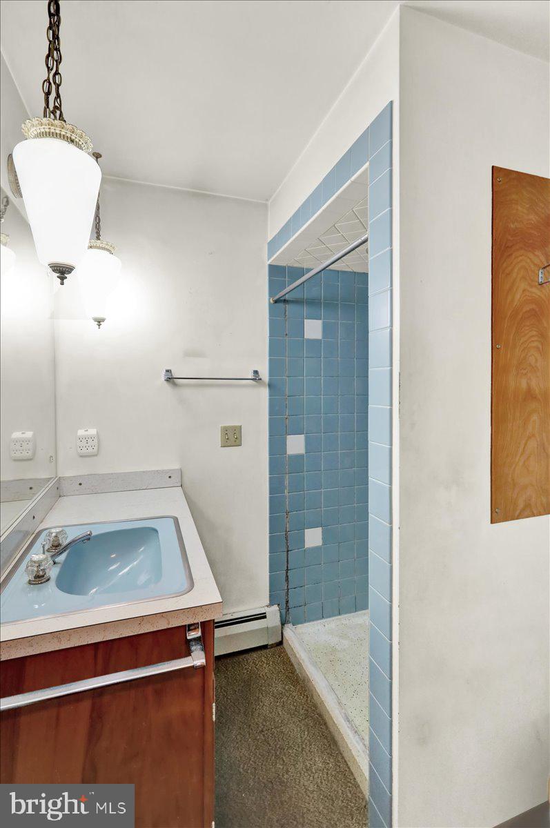 508 American Legion Boulevard Pine Grove, PA 17963 - Photo 16 of 40 a bathroom with a sink and a mirror