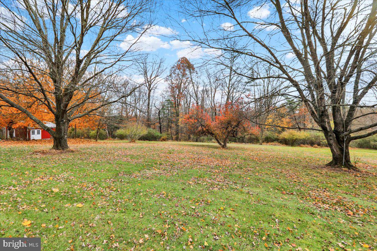 508 American Legion Boulevard Pine Grove, PA 17963 - Photo 35 of 40 a view of large yard with large trees