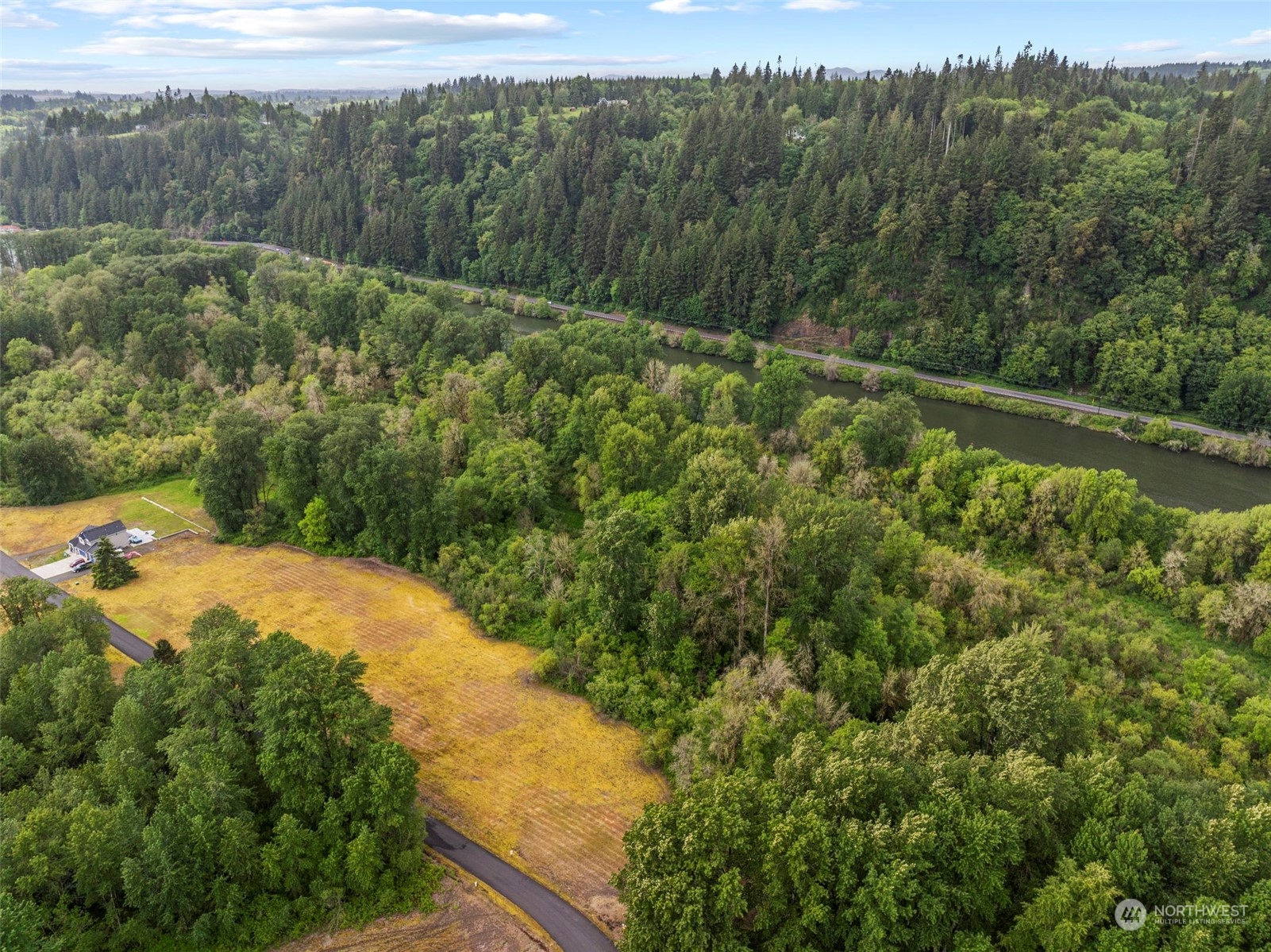 1 Columbia Point Road Longview, WA 98632 - Photo 3 of 7 a view of a forest with a mountain