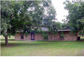 Primary Photo