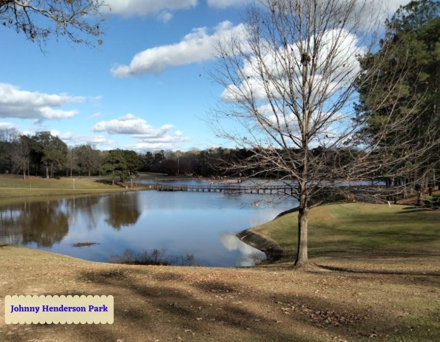 0 Old Gilmore School House Road Summers, AL 72769 - Photo 11 of 13