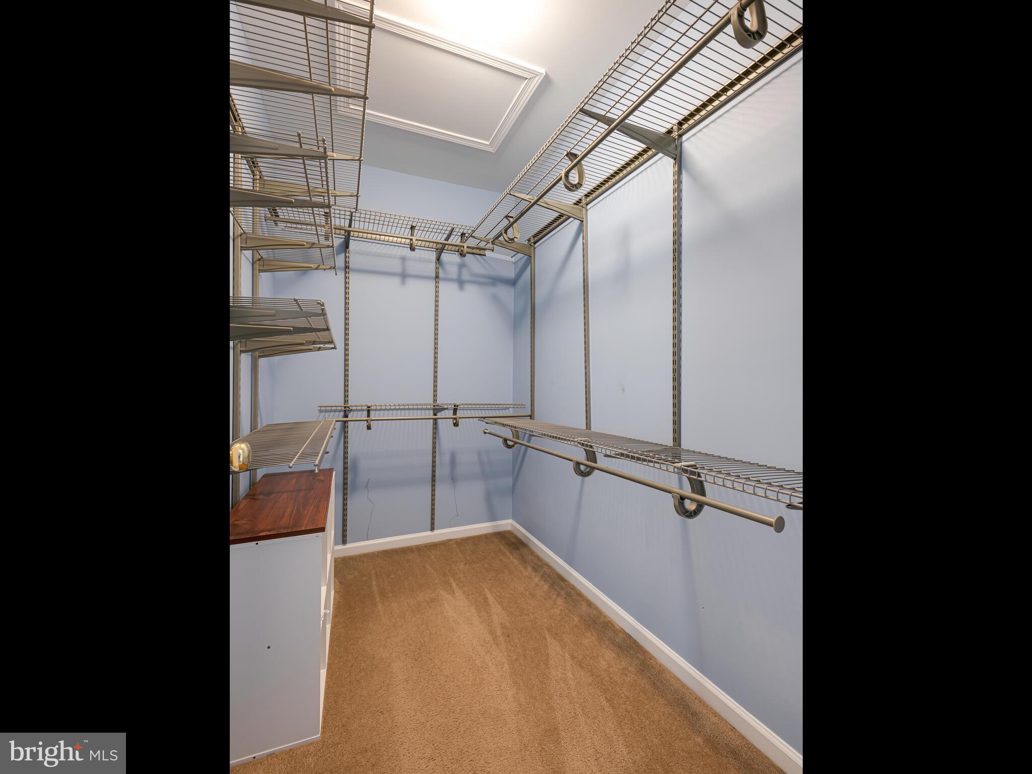 2746 Fynamore Lane Downingtown, PA 19335 - Photo 27 of 39 Walk-In Closet