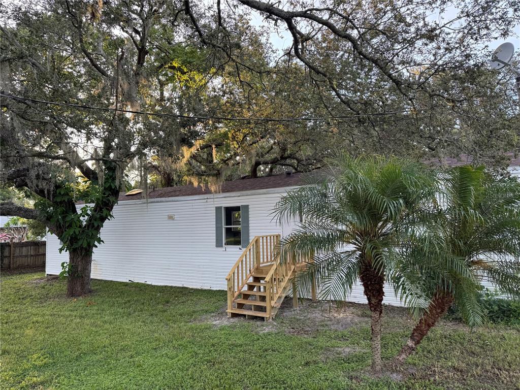 a view of a backyard with a tree