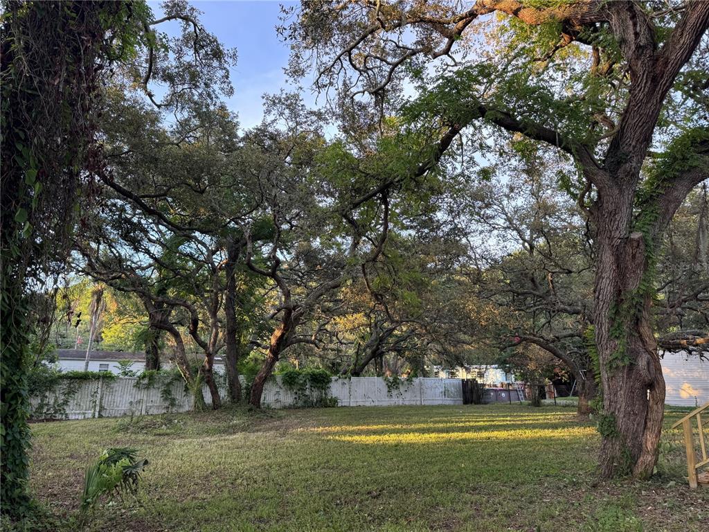 9053 Bourbon Street New Port Richey, FL 34654 - Photo 23 of 27 a view of a yard with a large trees
