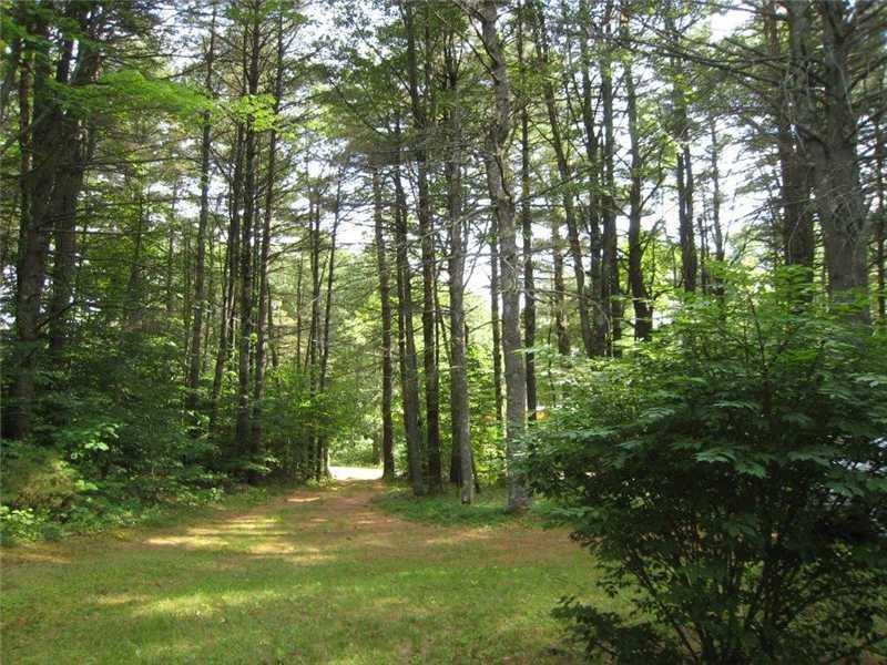 1689 Acton Ridge Road Acton, ME 04001 - Photo 21 of 21 Yard/Garden. Yard and driveway