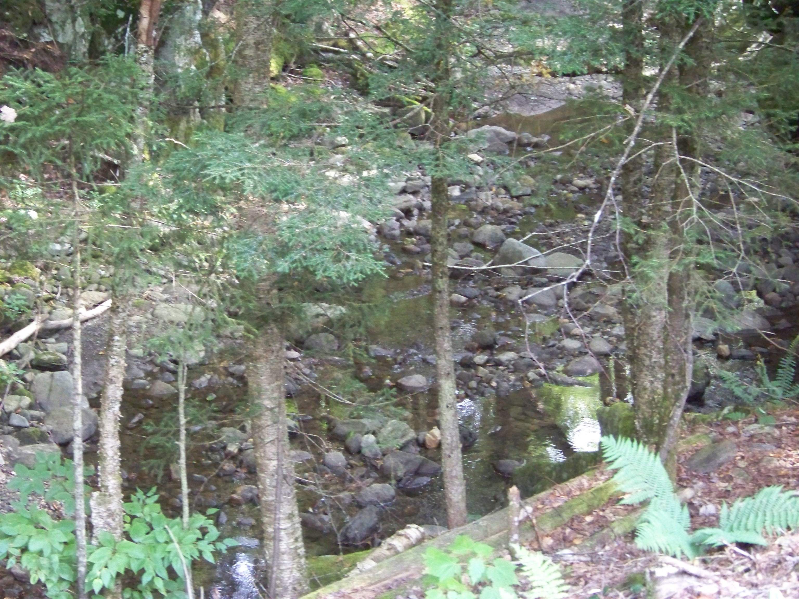 370 Marsh Brook Road Rochester, VT 05767 - Photo 8 of 18