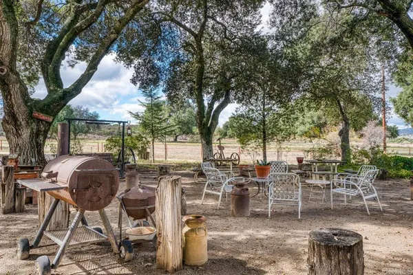 a view of dirt yard with large trees