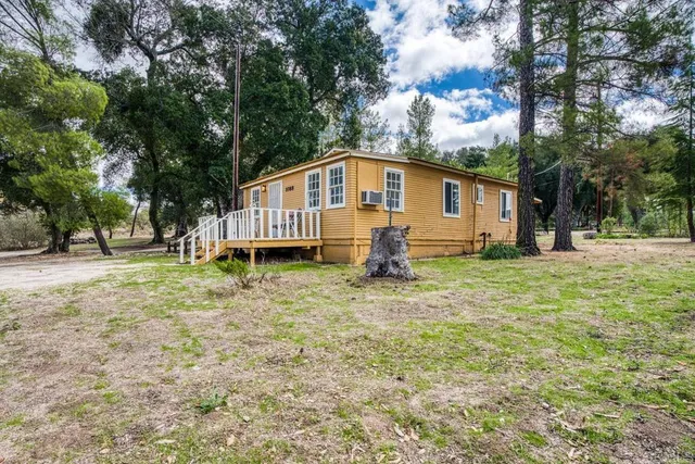 a view of a park with large trees