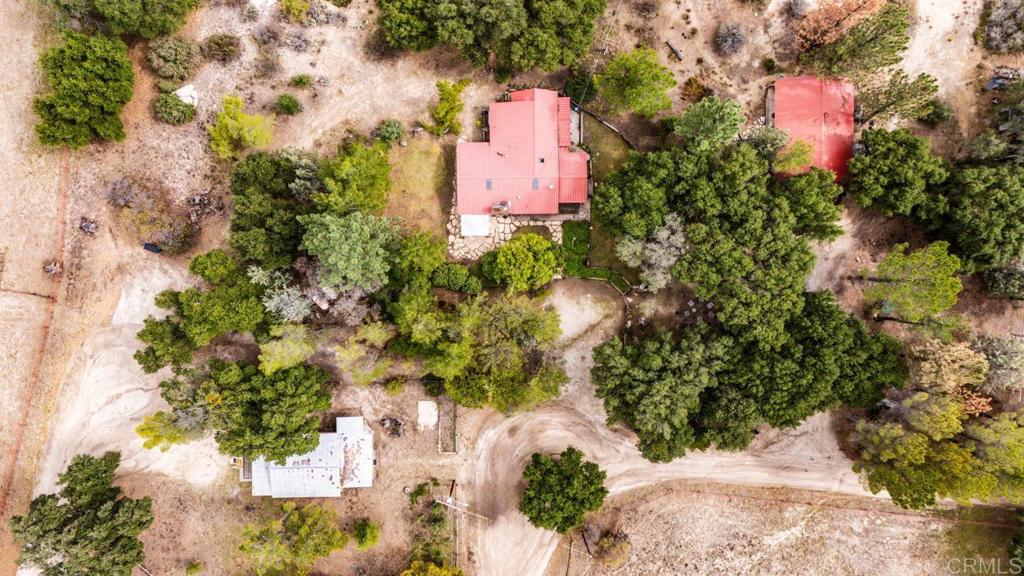 1088 Shasta Way Boulevard, CA 91905 - Photo 40 of 47 a picture of flowers