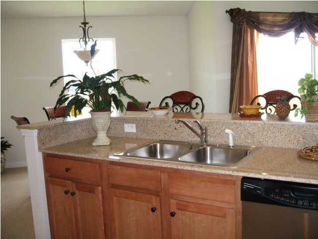 5219 Moore Loop Crestview, FL 32536 - Photo 7 of 14 a kitchen with a sink and a potted plant