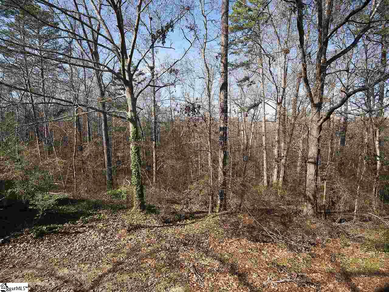 129 Blue Ridge Drive Fountain Inn, SC 29644 - Photo 13 of 22 Gallery Image 13