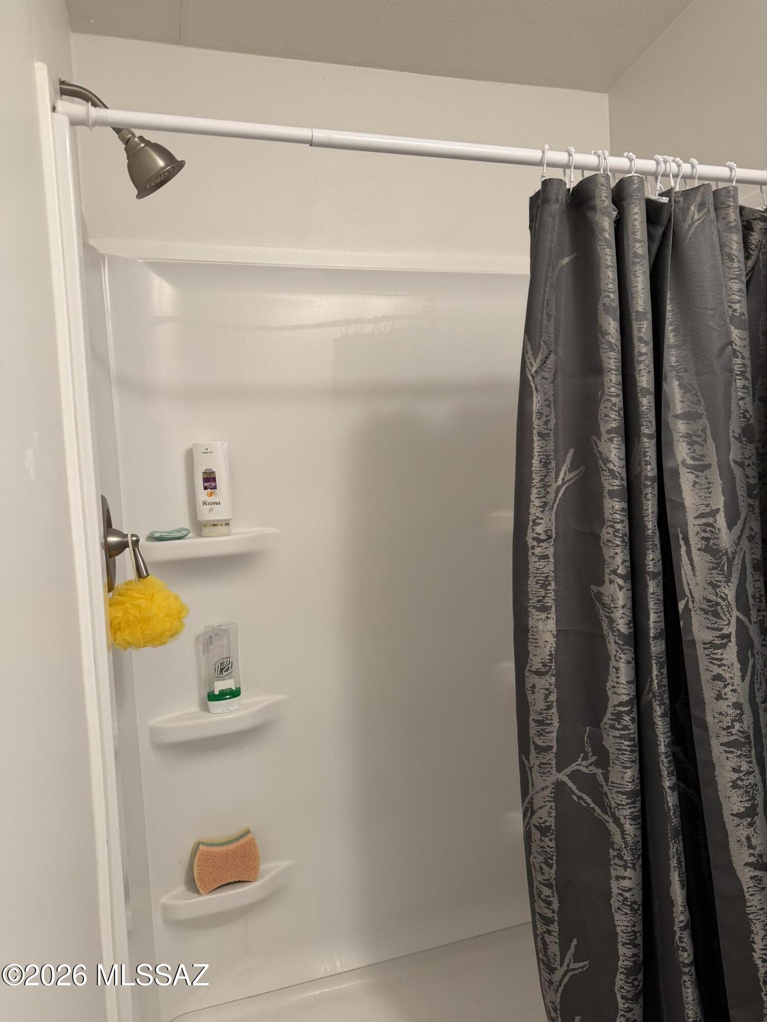 15770 North Oracle Road, Unit B4 Tucson, AZ 85739 - Photo 15 of 30 Second bath shower