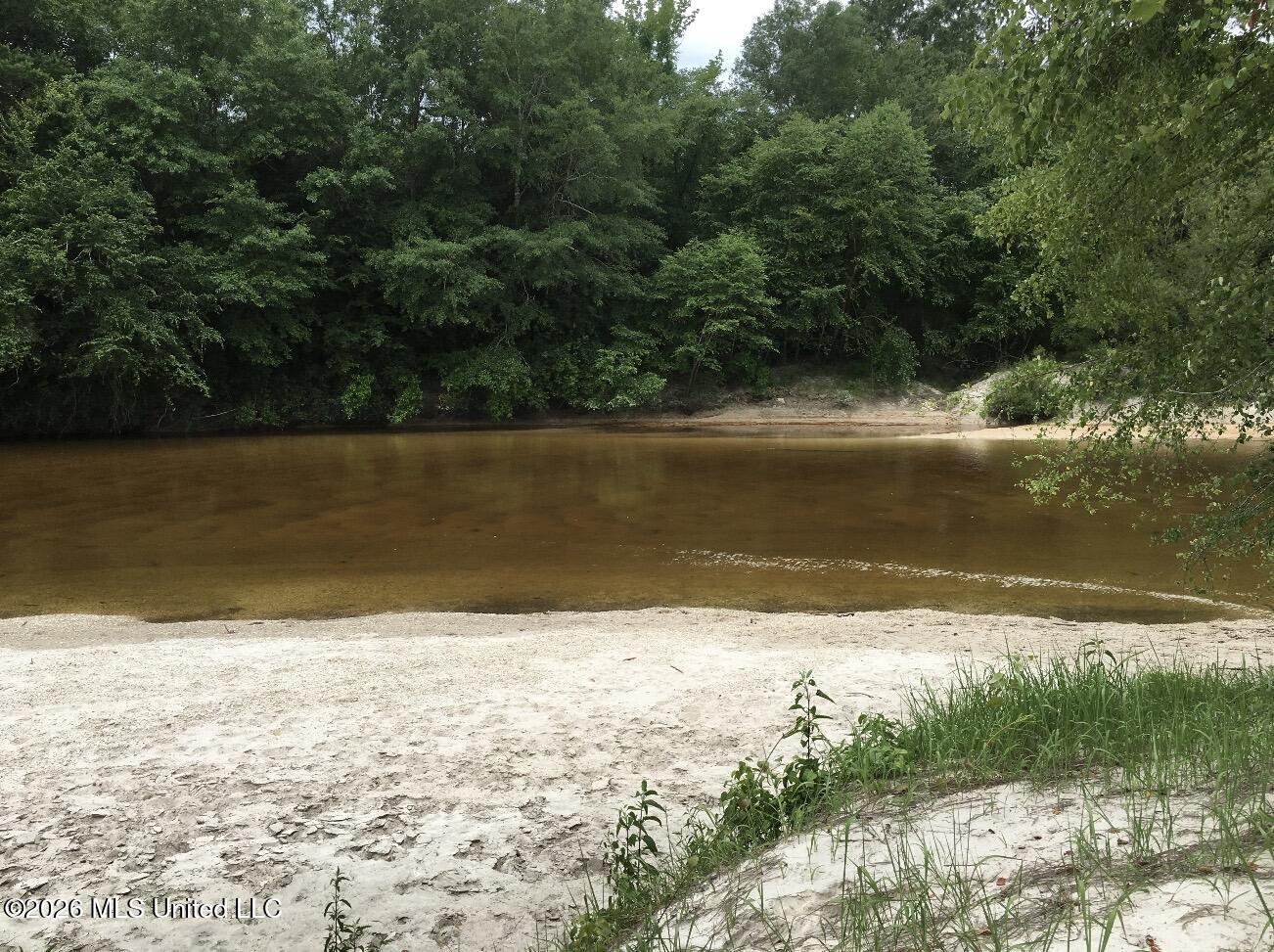0 City Bridge Road Perkinston, MS 39573 - Photo 1 of 4 creek 1