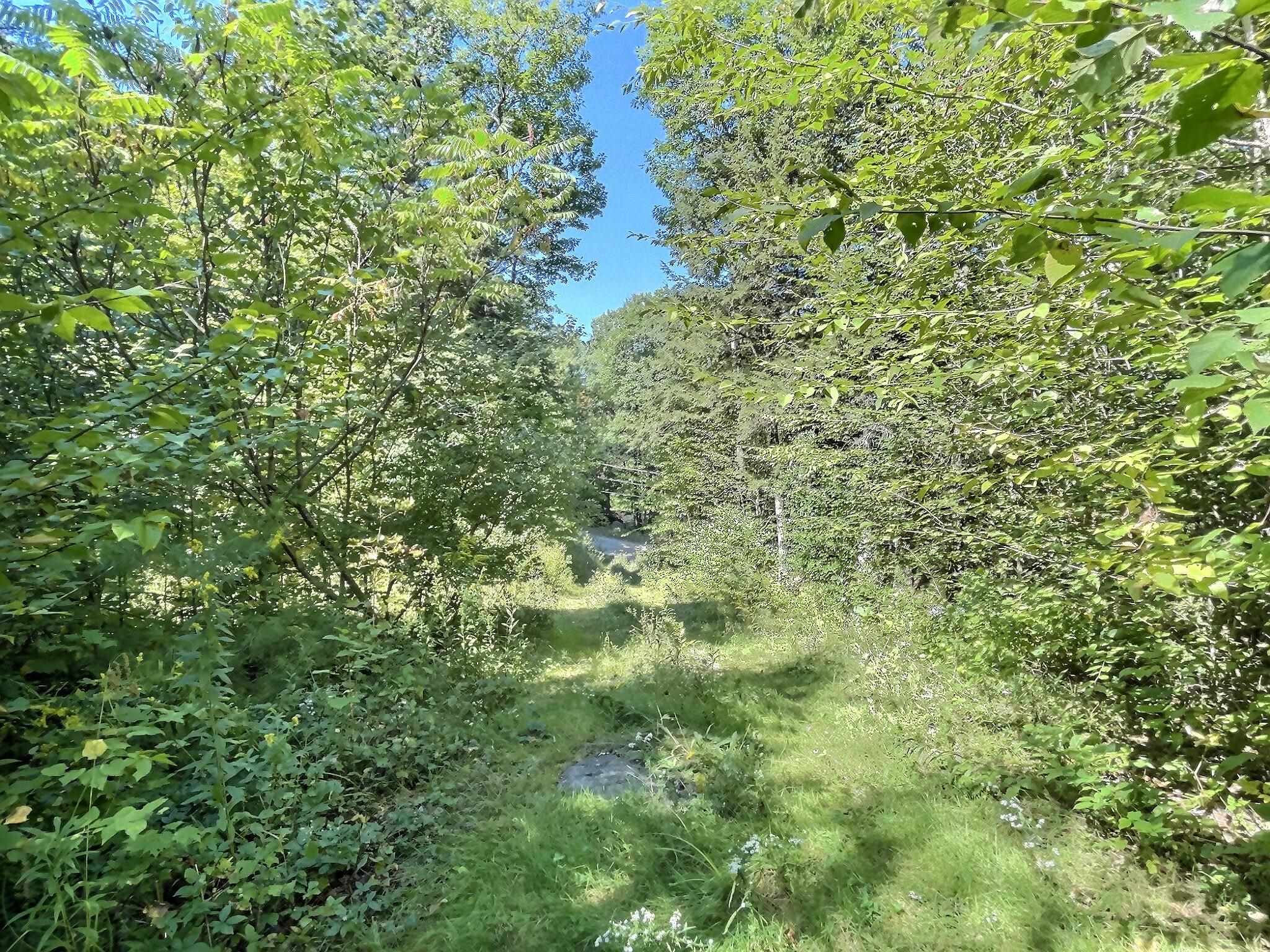 0 Chandlers Mill Road Newport, NH 03773 - Photo 12 of 25 Gallery Image 12