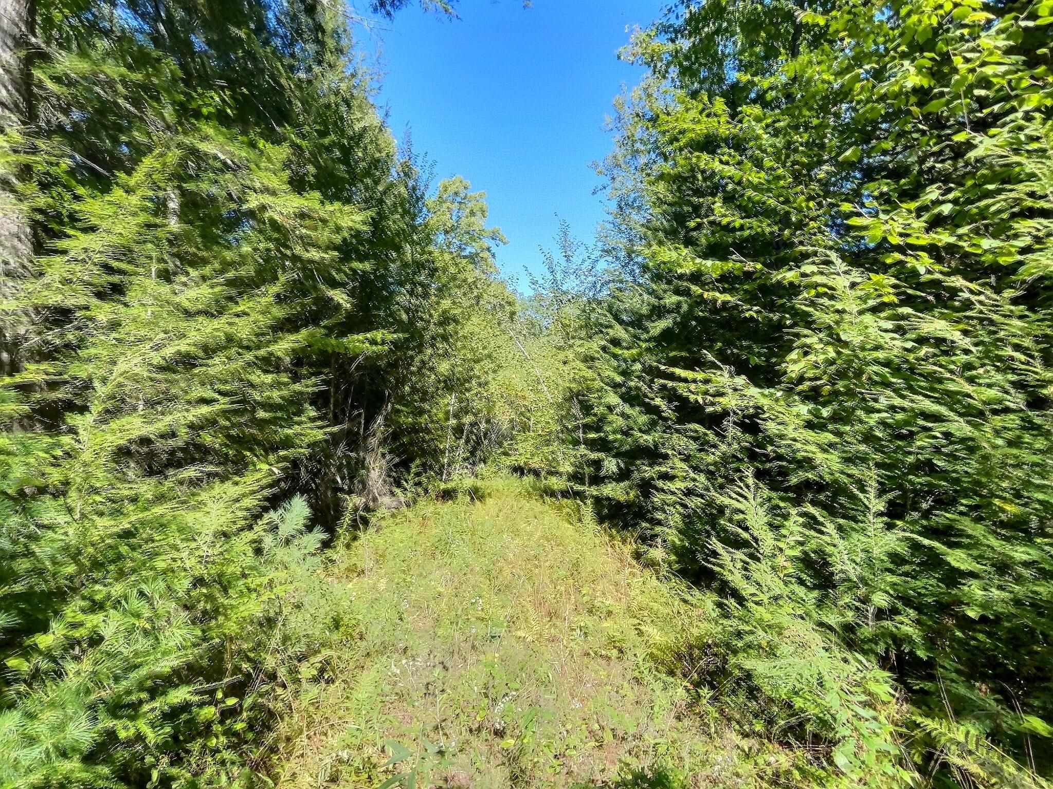 0 Chandlers Mill Road Newport, NH 03773 - Photo 13 of 25 Gallery Image 13